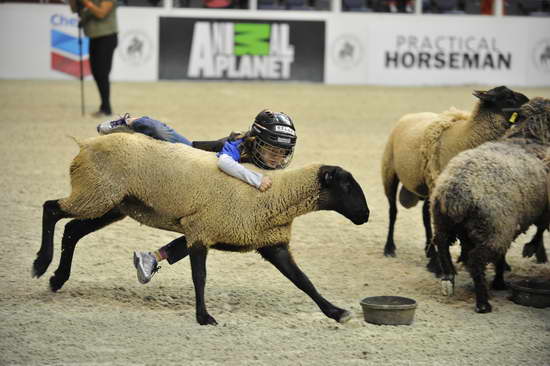 WIHS3-10-27-11-MuttonBusting-2639-DDeRosaPhoto.JPG