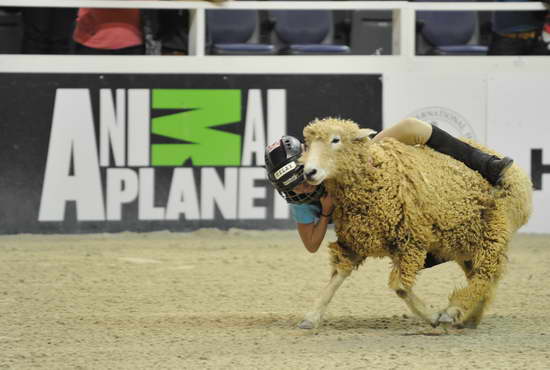 WIHS3-10-27-11-MuttonBusting-2688-DDeRosaPhoto.JPG