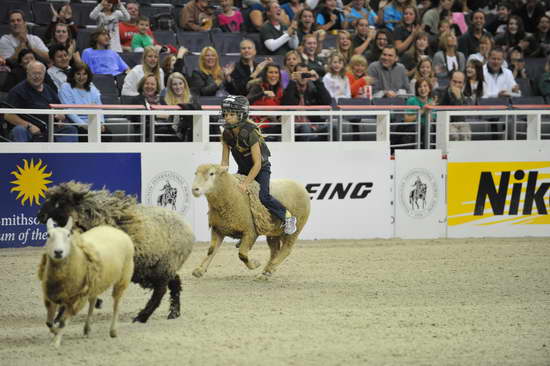 WIHS3-10-27-11-MuttonBusting-2724-DDeRosaPhoto.JPG