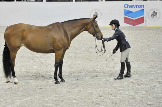 Chevron-WIHS1-10-25-11-Cl10RgCfHtrMd-0161-DDeRosaPhoto.JPG