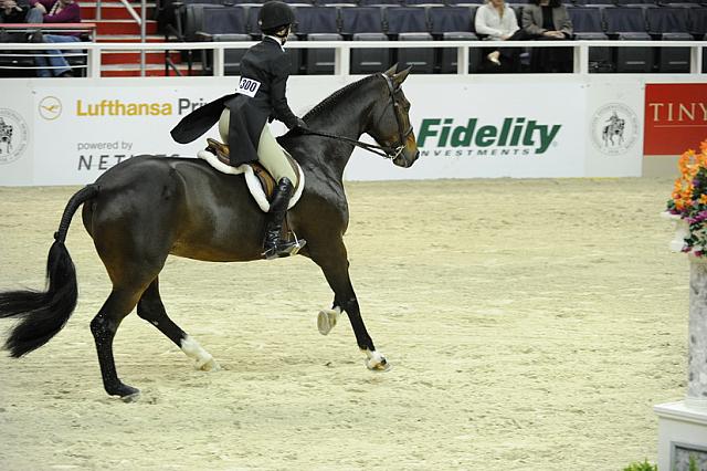 WIHS-10-25-11-Cl186ChHtrCH-DSC_7954-Cheyenne-SamanthaGajoch-DDeRosaPhoto.JPG