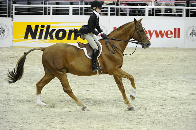 WIHS-10-25-11-Cl186ChHtrCH-DSC_7981-Quatro-ClaudiaStyslinger-DDeRosaPhoto.JPG