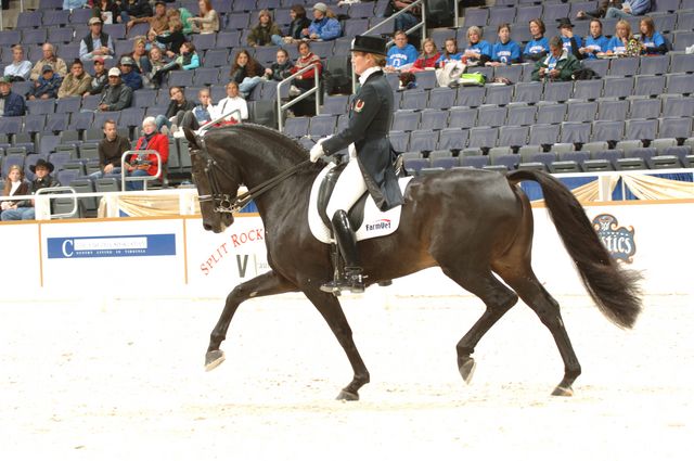 10-WIHS-AshleyHolzer-Gambol-Dressage-10-27-05-DDPhoto.JPG