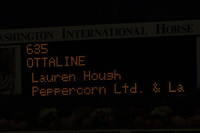 024-WIHS-LaurenHough-Ottaline--10-27-05-Gambler_sChoice-DDPhoto.JPG