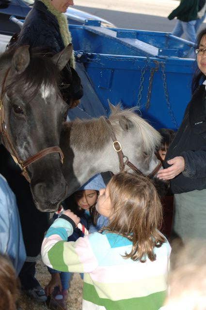013-WIHS-PonyPavilion-10-29-05-DDPhoto.JPG