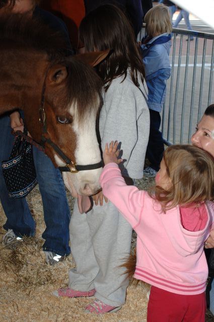 025-WIHS-PonyPavilion-10-29-05-DDPhoto.JPG