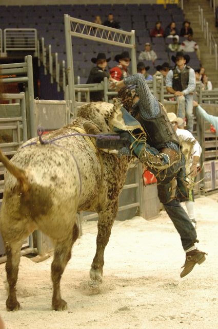 017-WIHS-10-23-06-BullRiding-DDPhoto.JPG