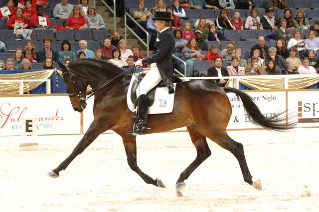 16-WIHS-CathyMorelli-BeSe-Dressage-DDPhoto.JPG
