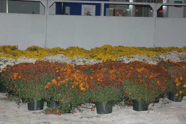 106-WIHS-10-23-06-&copy;DeRosaPhoto.JPG