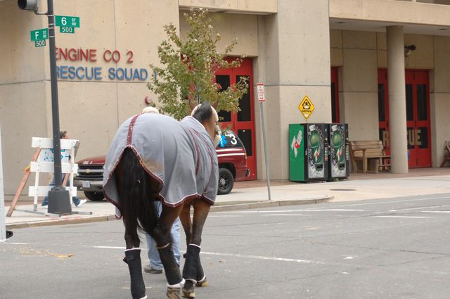 190-WIHS-10-23-06-&copy;DeRosaPhoto.JPG