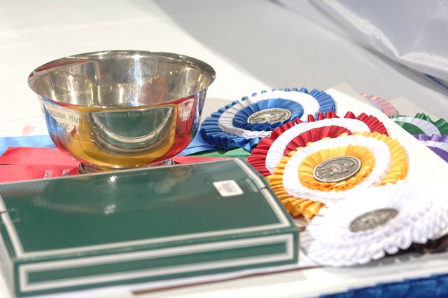 257-WIHS-10-24-06-&copy;DeRosaPhoto.JPG