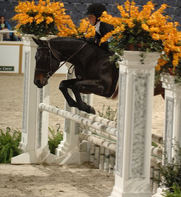 363-ElainaPlott-KeyLargo-WIHS-10-29-06-&copy;DeRosaPhoto.JPG