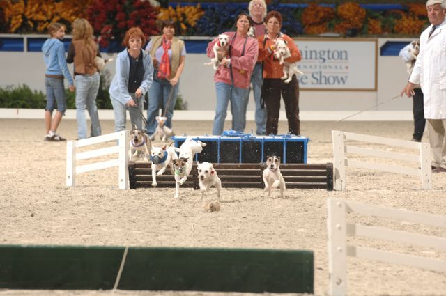 726-Terriers-WIHS-10-27-06-&copy;DeRosaPhoto.JPG