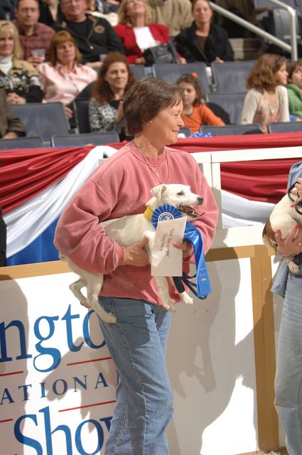 746-Terriers-WIHS-10-27-06-&copy;DeRosaPhoto.JPG