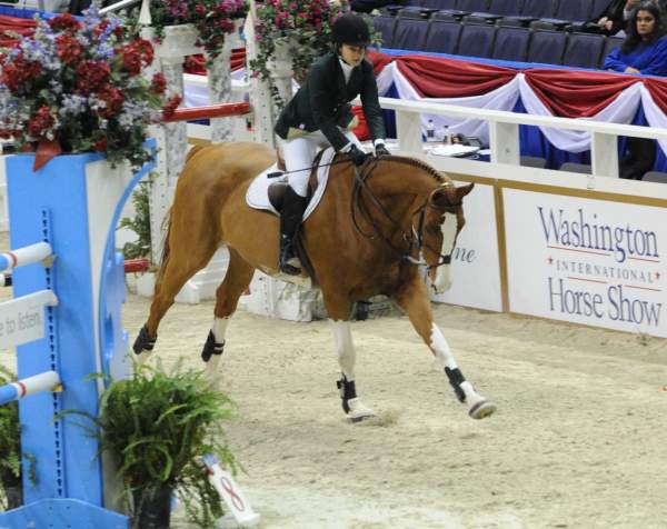 Starlight-KirstenCoe-DSC_2677.jpg