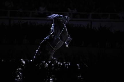 10-24-08-WIHS-1000-DeRosaPhoto.jpg