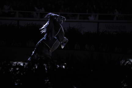 10-24-08-WIHS-1003-DeRosaPhoto.jpg