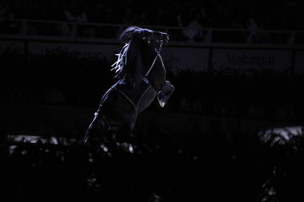 10-24-08-WIHS-1005-DeRosaPhoto.jpg
