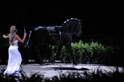 10-24-08-WIHS-898-DeRosaPhoto.jpg