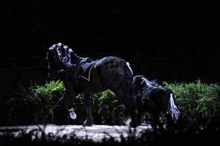 10-24-08-WIHS-949-DeRosaPhoto.jpg