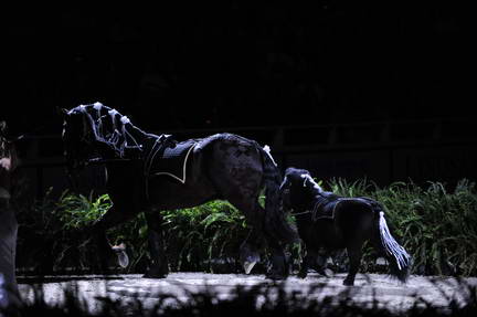 10-24-08-WIHS-950-DeRosaPhoto.jpg