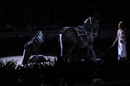 10-24-08-WIHS-958-DeRosaPhoto.jpg