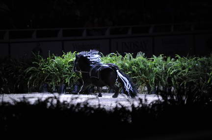 10-24-08-WIHS-984-DeRosaPhoto.jpg