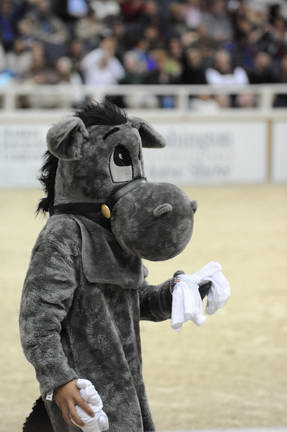 10-24-08-WIHS-1020-DeRosaPhoto.jpg