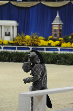 10-24-08-WIHS-1023-DeRosaPhoto.jpg