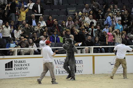 10-24-08-WIHS-1037-DeRosaPhoto.jpg