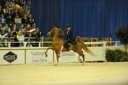 10-24-08-WIHS-531-DeRosaPhoto.jpg