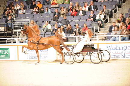 10-24-08-WIHS-558-DeRosaPhoto.jpg