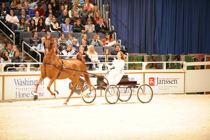 10-24-08-WIHS-567-DeRosaPhoto.jpg