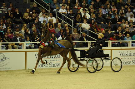 10-24-08-WIHS-602-DeRosaPhoto.jpg