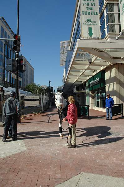 WIHS08-10-25-Setup-245-DDeRosaPhoto