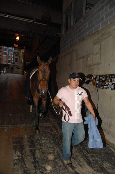 WIHS08-10-25-Setup-308-DDeRosaPhoto