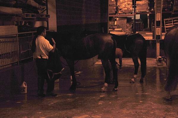 WIHS08-10-25-Setup-309-DDeRosaPhoto