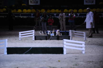 10-24-08-WIHS-1081-DeRosaPhoto.jpg