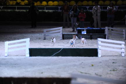 10-24-08-WIHS-1085-DeRosaPhoto.jpg
