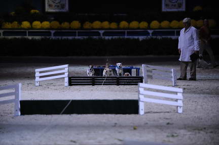 10-24-08-WIHS-1107-DeRosaPhoto.jpg