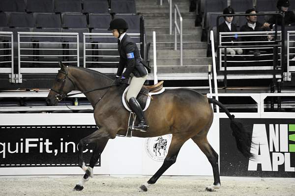 WIHS-10-22-09-DSC_4166-BrownDerby-HayleyBarnhill-SmJrHtr15U-DDeRosaPhoto.jpg