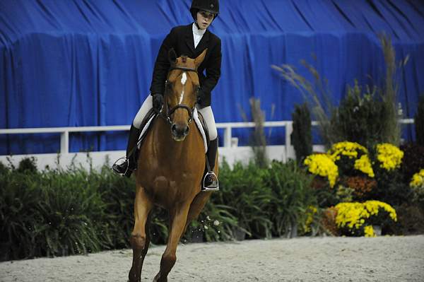 WIHS-10-23-09-DSC_8364-Ivy-ZazouHoffman-Action-DDeRosaPhoto.jpg