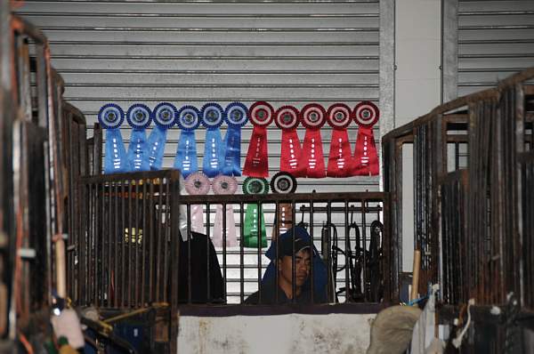 WIHS-10-20-09-DER_5469-AroundGrounds-Inside-DDeRosaPhoto.jpg