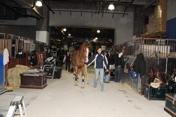 WIHS-10-22-09-DSC_050-AroundGrounds-Inside-DDeRosaPhoto.jpg