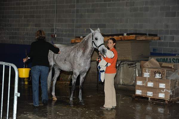 WIHS-10-24-09-DSC_9002-AroundGroundsInside-DDeRosaPhoto.jpg