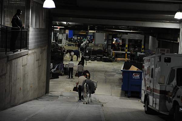 WIHS-10-24-10-DSC_8998-AroundGrounds-Indoors-DDeRosaPhoto.jpg