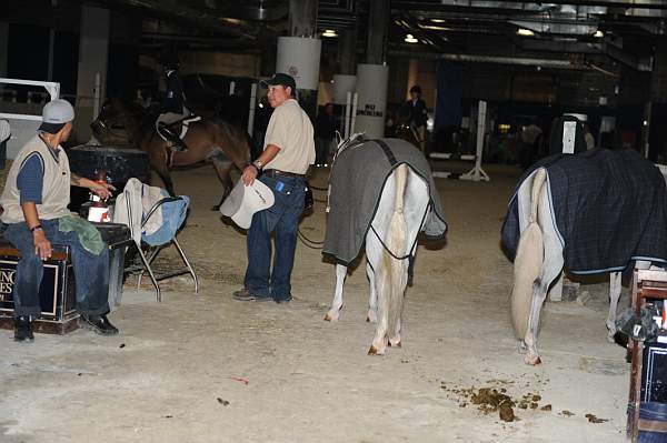 WIHS-10-24-10-DSC_9003-AroundGrounds-Indoors-DDeRosaPhoto.jpg