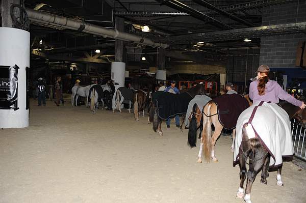 WIHS-10-24-10-DSC_9008-AroundGrounds-Indoors-DDeRosaPhoto.jpg