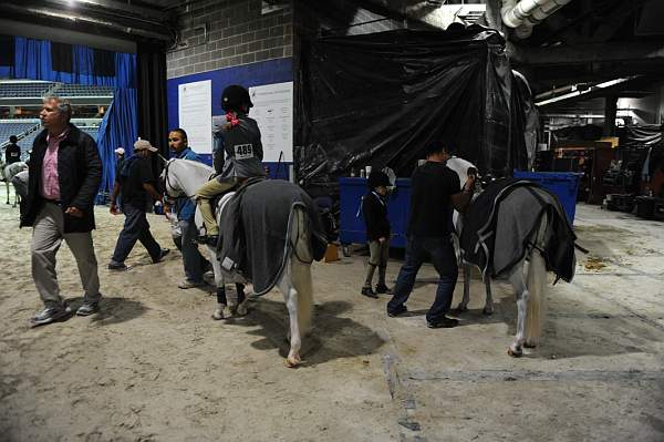 WIHS-10-24-10-DSC_9012-AroundGrounds-Indoors-DDeRosaPhoto.jpg