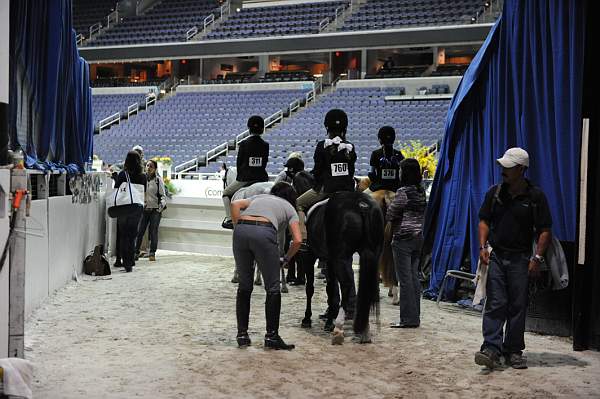 WIHS-10-24-10-DSC_9013-AroundGrounds-Indoors-DDeRosaPhoto.jpg